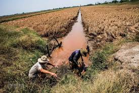 Tăng cường phòng, chống nắng nóng, hạn hán, thiếu nước, xâm nhập mặn